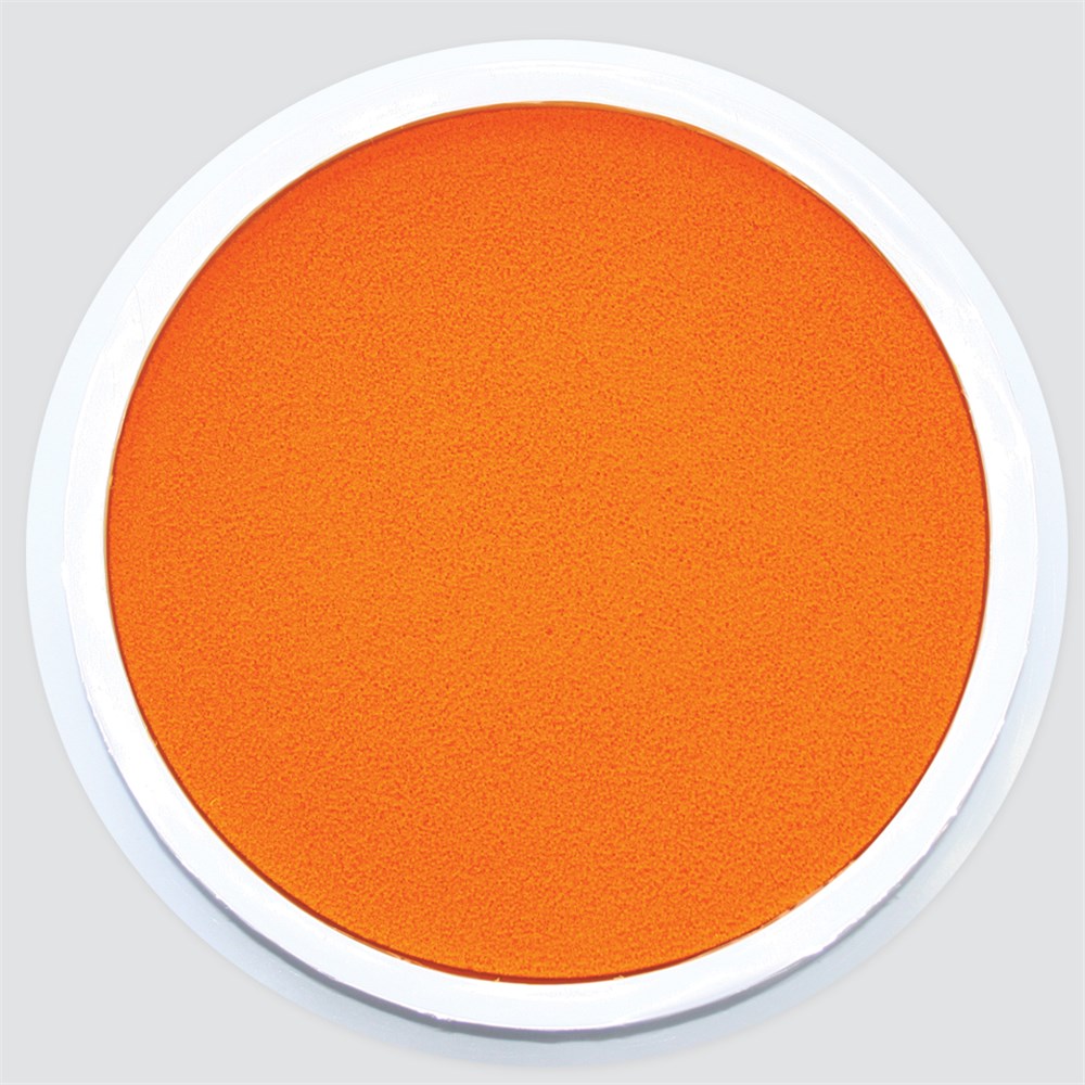CleverPatch Washable Paint Pad - Orange