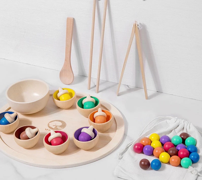 Montessori Colour Sorting and Fine Motor Skills Game