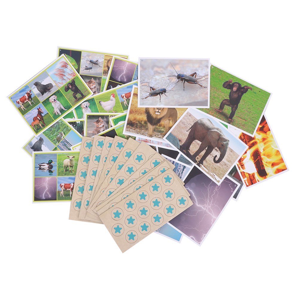 Animals & Nature Bingo Game