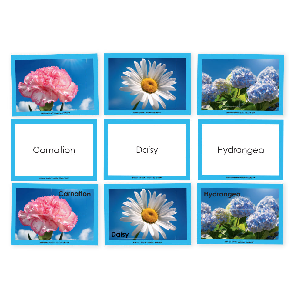 Image Cards - Flowers - PDF Download