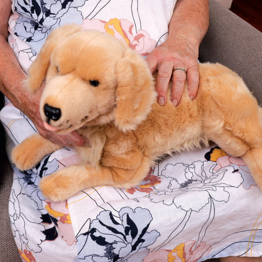 Comfort Pet - Dog - Each