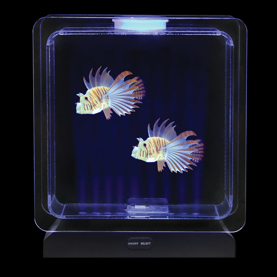 Square Electronic Fish Tank with Tropical Fish