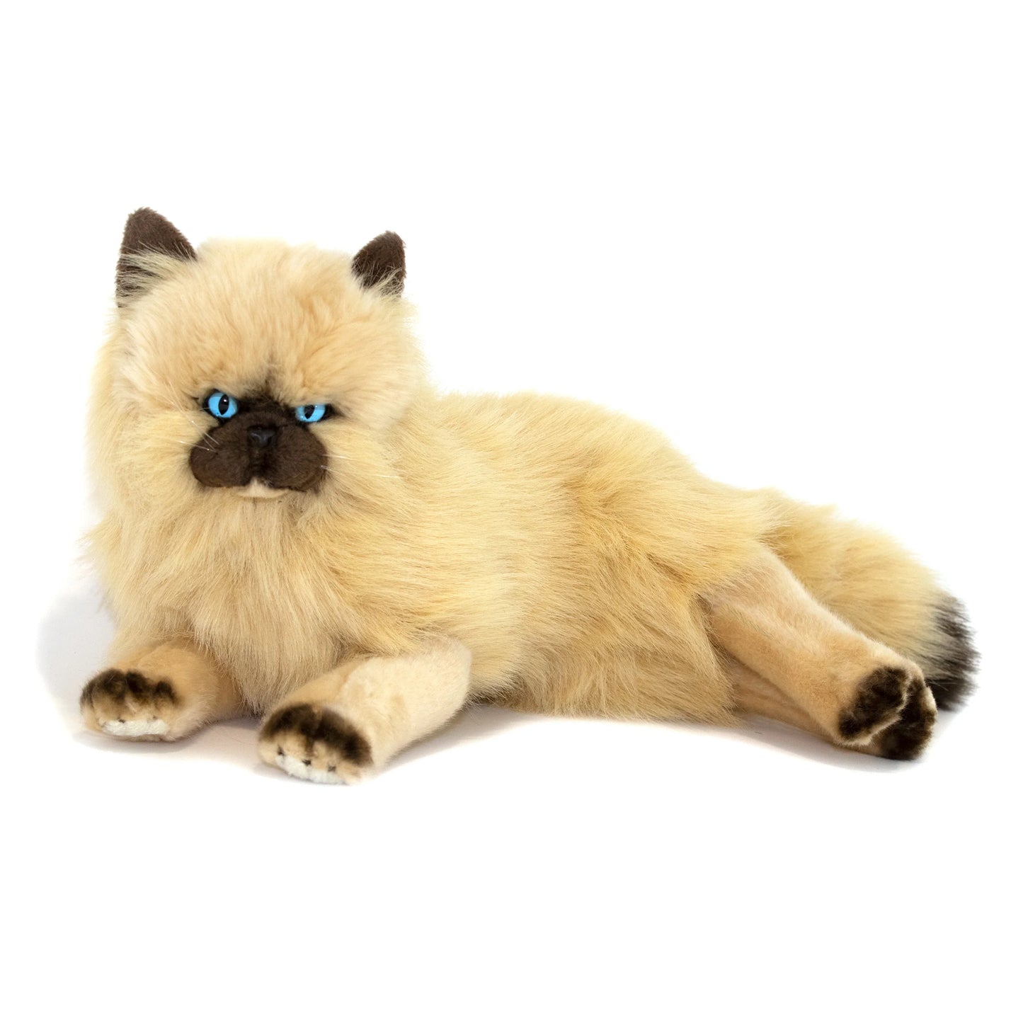 Comfort Pet: Cat