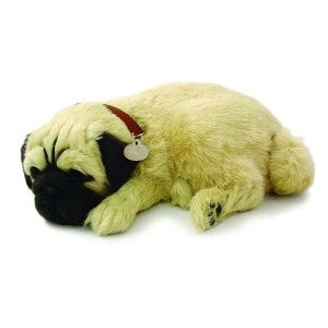 Breathing Pet: Dog