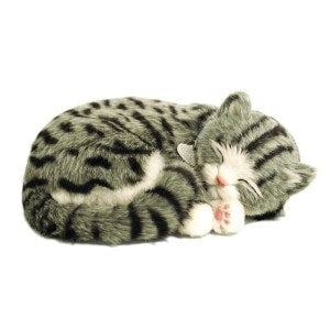 Breathing Pet: Cat