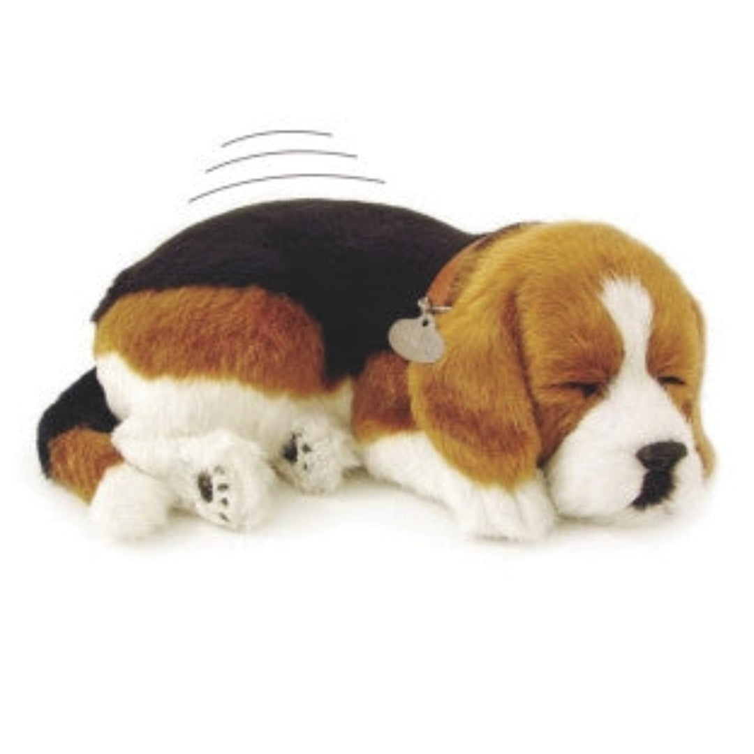 Breathing Pet: Dog