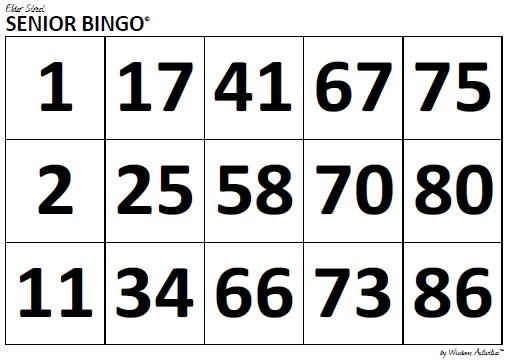 A4 30 Large Print Bingo Player Cards: 1 90