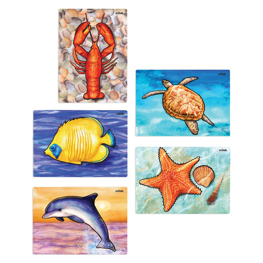 Aqua Paint - Ocean Life - Pack of 5