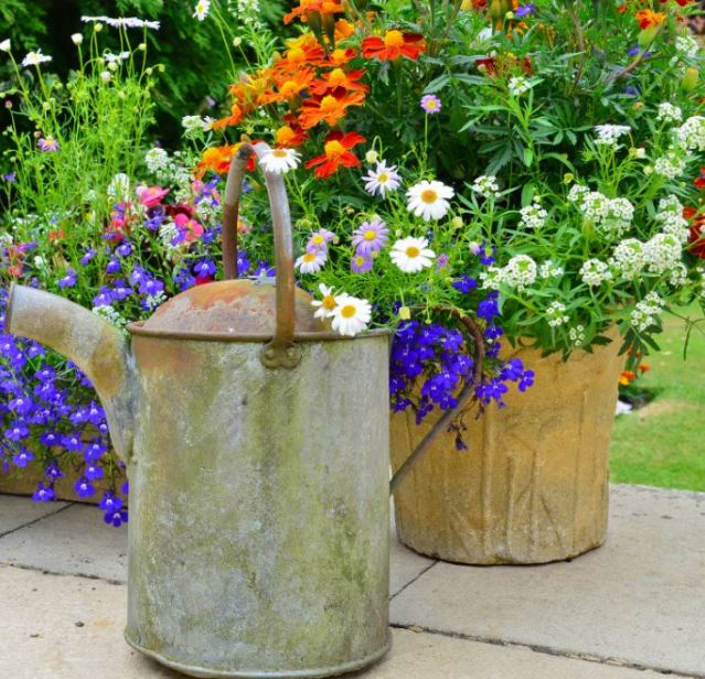 Flowerpot and Can - 24 Piece Puzzle