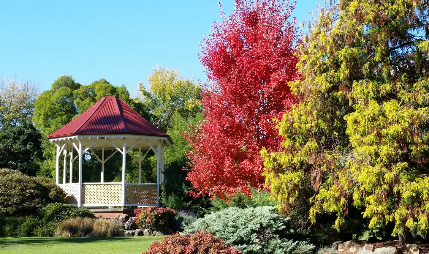 Autumn - 12 Piece Puzzle