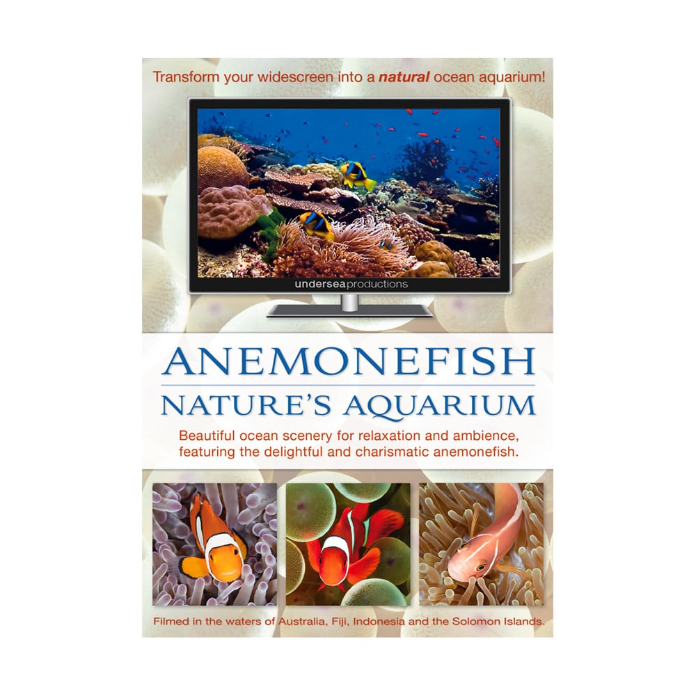 Nature's Aquarium: Anemonefish (Calming DVD) – Wisdom Activities