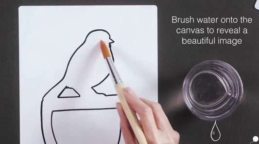 Aqua Paint - Wonderful Animals - Pack of 5