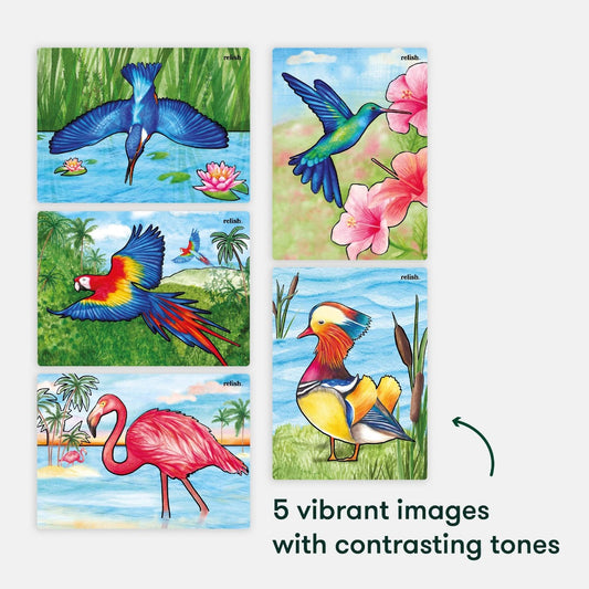 Aqua Paint - Magnificent Birds - Pack of 5