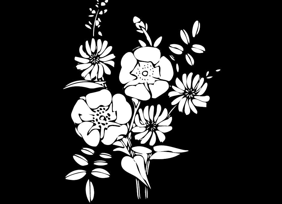 A4 Colouring In: Black Background Images