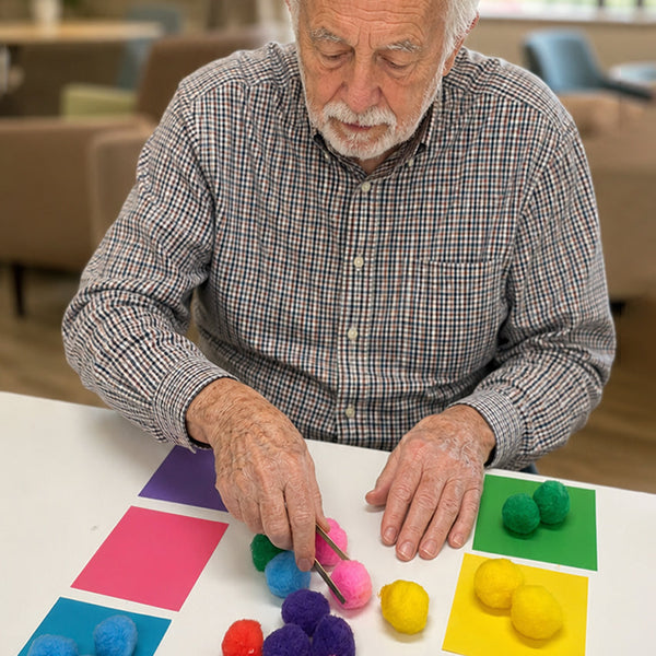 Pinch & Place: Pom Pom Sorting for Stroke Rehabilitation