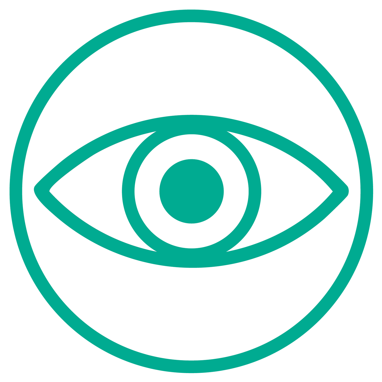 Visual Processing