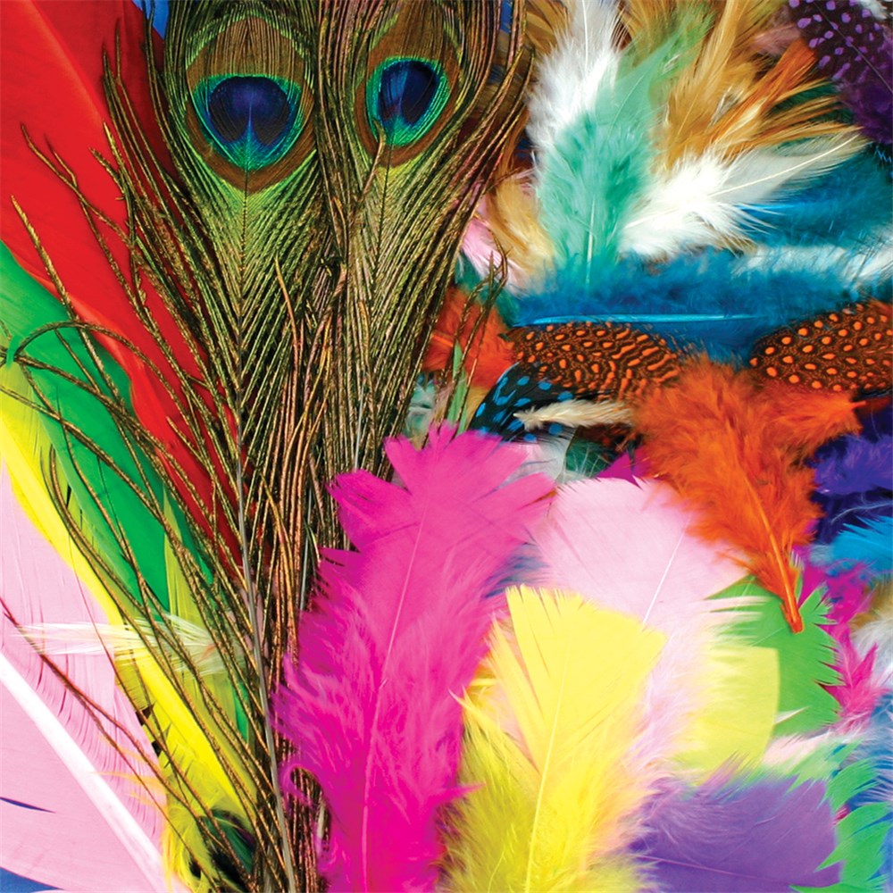Feathers - Assorted - 125g Pack – Wisdom Activities