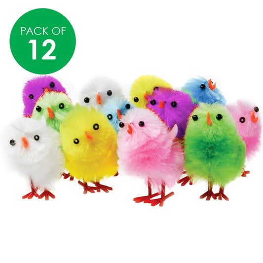 Chicks - Pack of 12