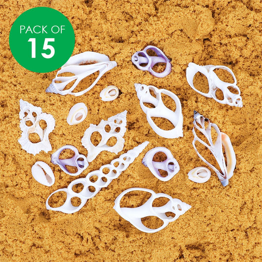 Shell Slices - Assorted - Pack of 15