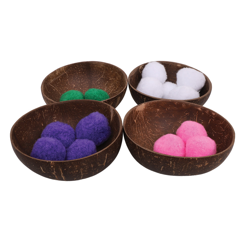 Coconut Shell Bowls - Pack of 4