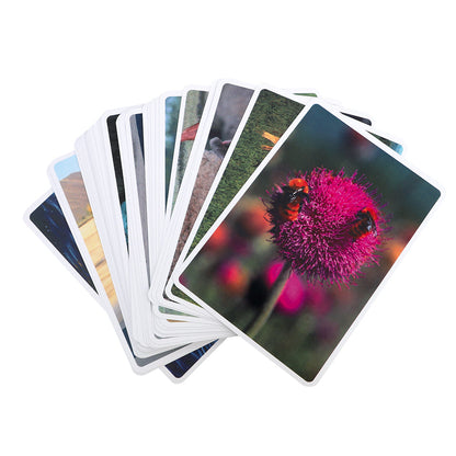 Outdoor Sounds Cue Cards - Pack of 40