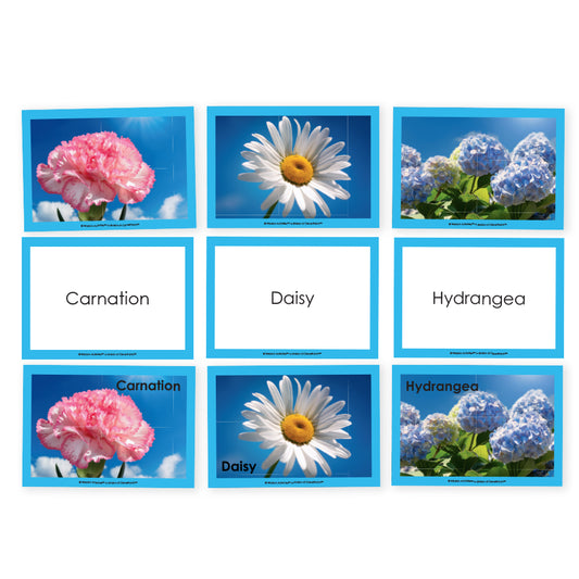 Image Cards - Flowers - PDF Download