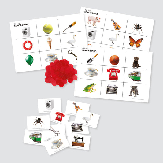 Picture Bingo Set - 10 Players