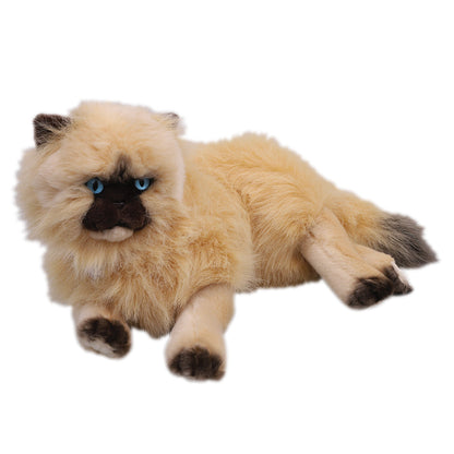 Comfort Pet - Cat - Each