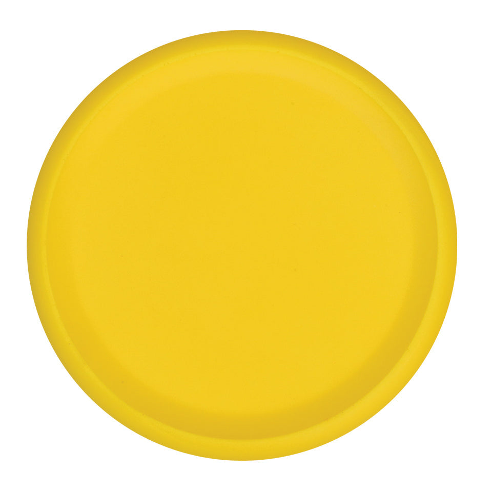 Foam Frisbee - Each