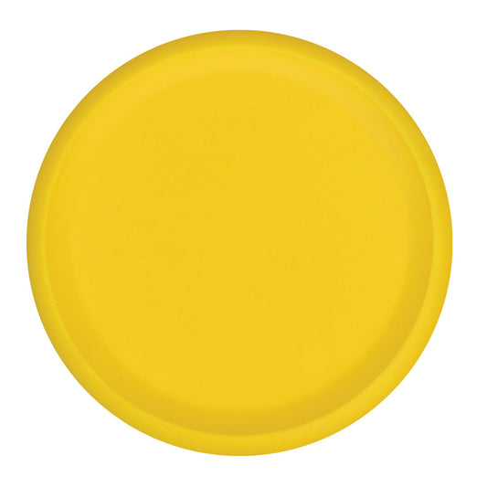 Foam Frisbee - Each