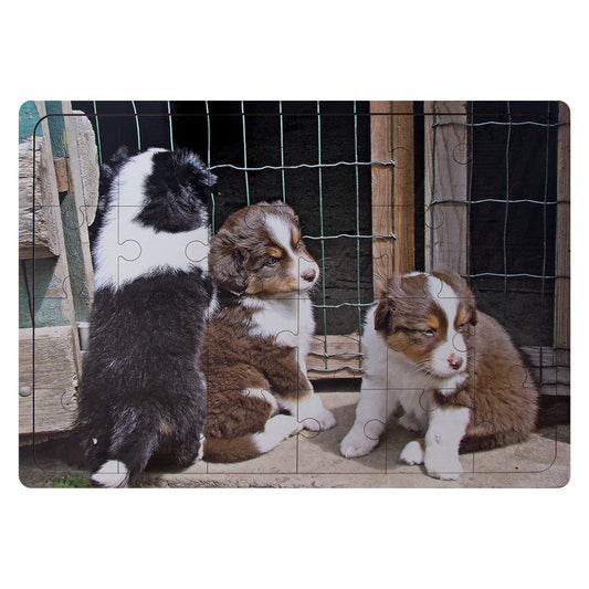 Wooden Puzzle - Border Collie Puppies - 24 Pieces
