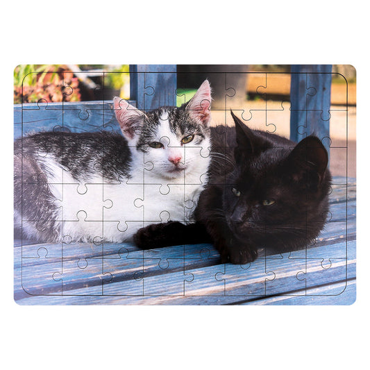 Wooden Puzzle - Two Cats - 48 Pieces