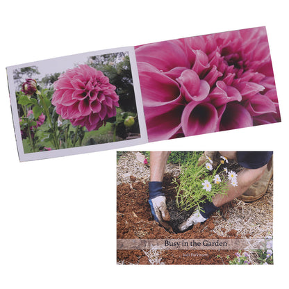 Picture Book - Busy in the Garden - Each