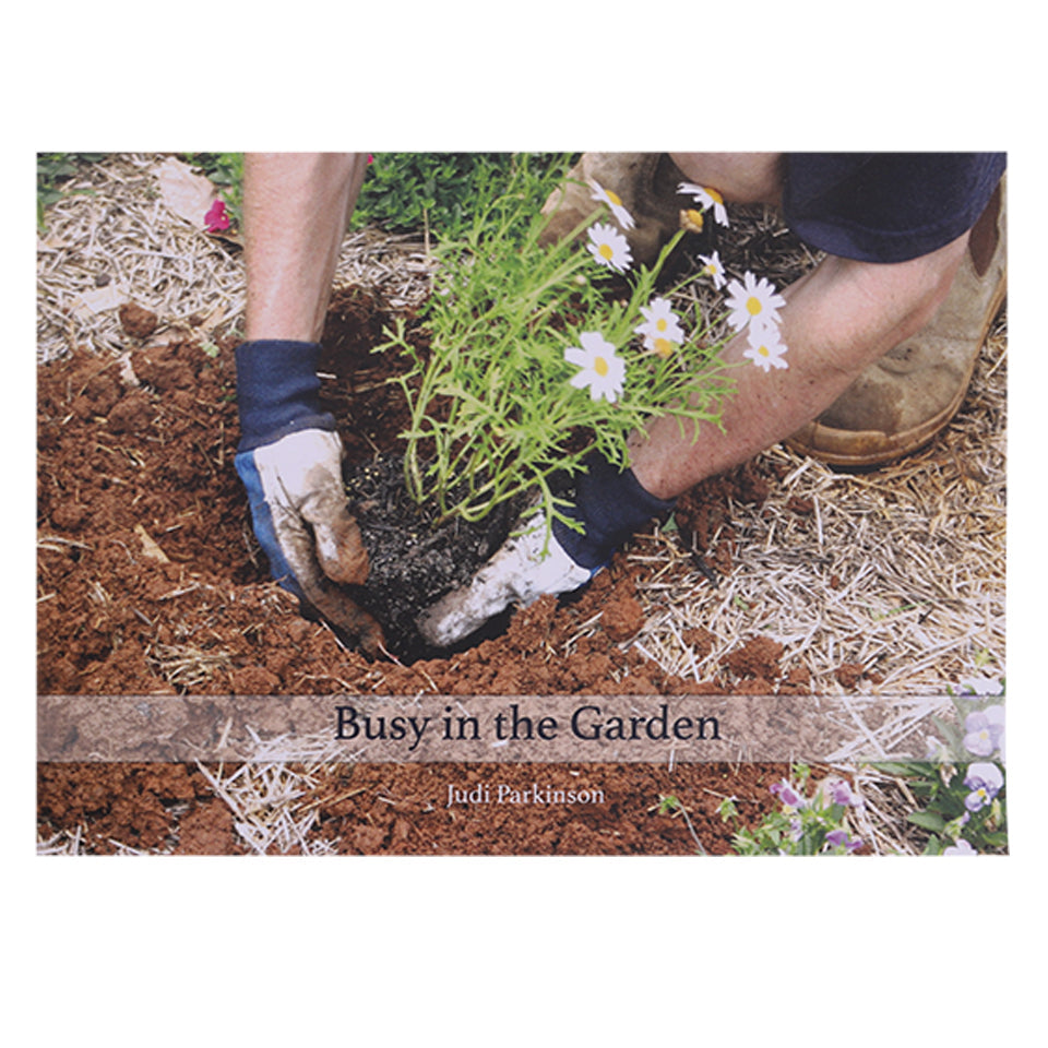 Picture Book - Busy in the Garden - Each