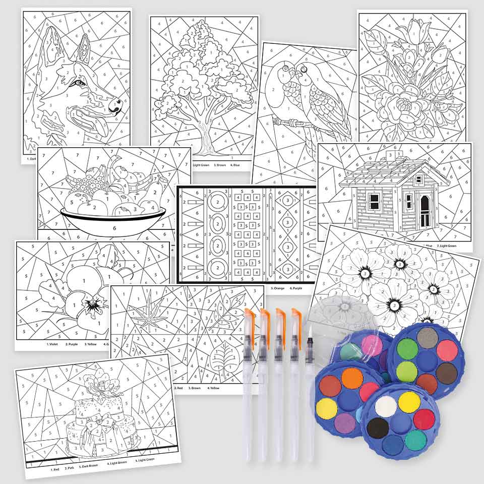 Watercolour Paint By Numbers Kit - A3