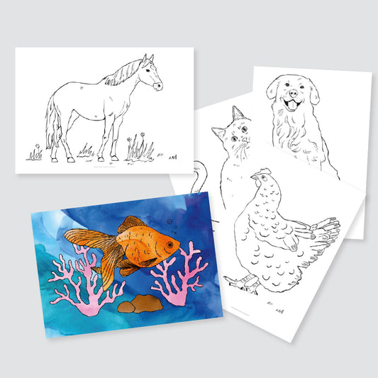 Colouring Sheets - Animals - A3 - Pack of 10
