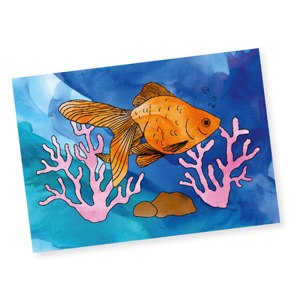 Colouring Sheets - Animals - A3 - Pack of 10