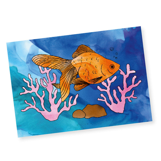 Colouring Sheets - Animals - A3 - Pack of 10