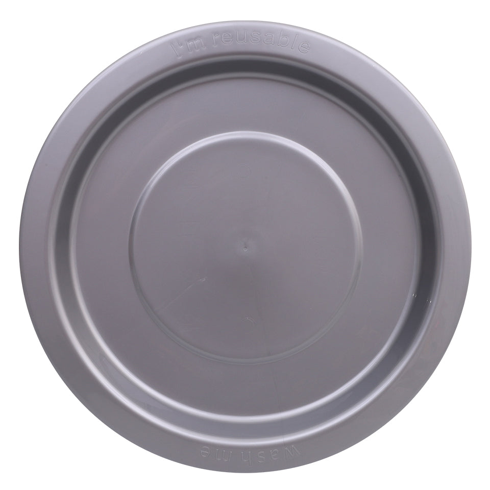 Reusable Plastic Plates - Silver - Pack of 20