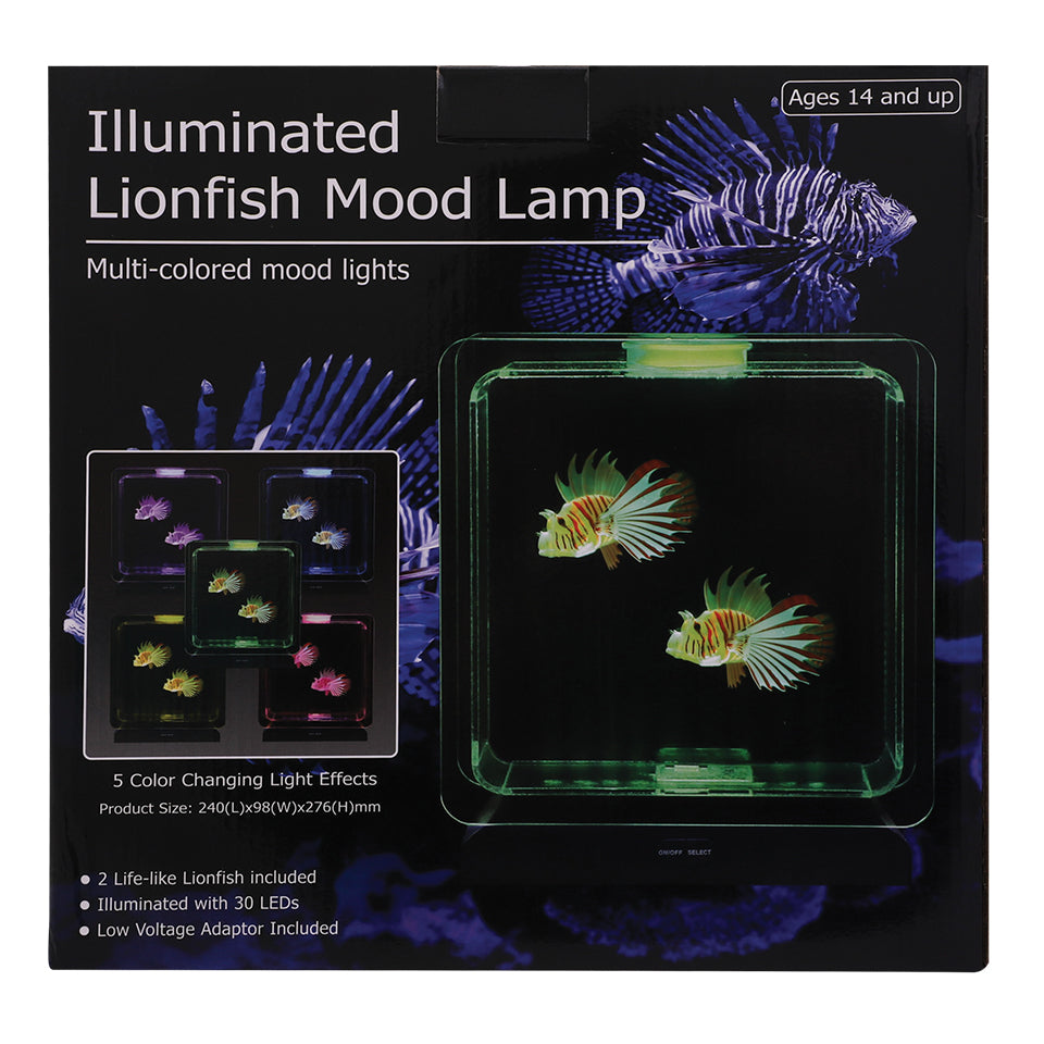 Square Electronic Fish Tank with Tropical Fish