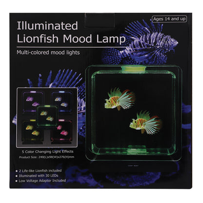 Square Electronic Fish Tank with Tropical Fish