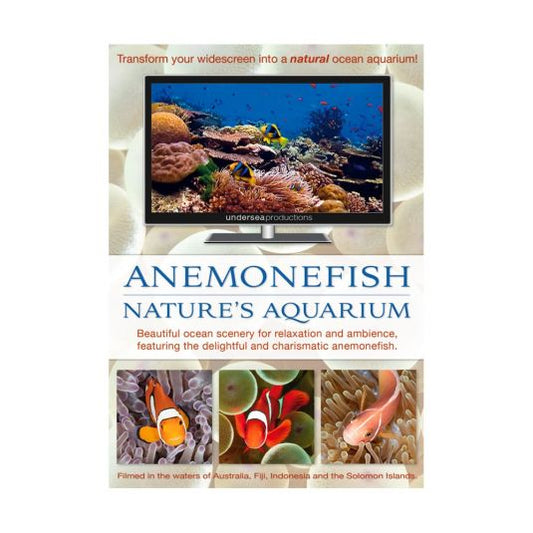 Anemone Fish - Natures Aquarium