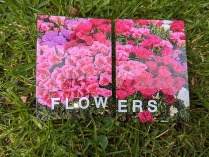 Memory Word Card Match - Each