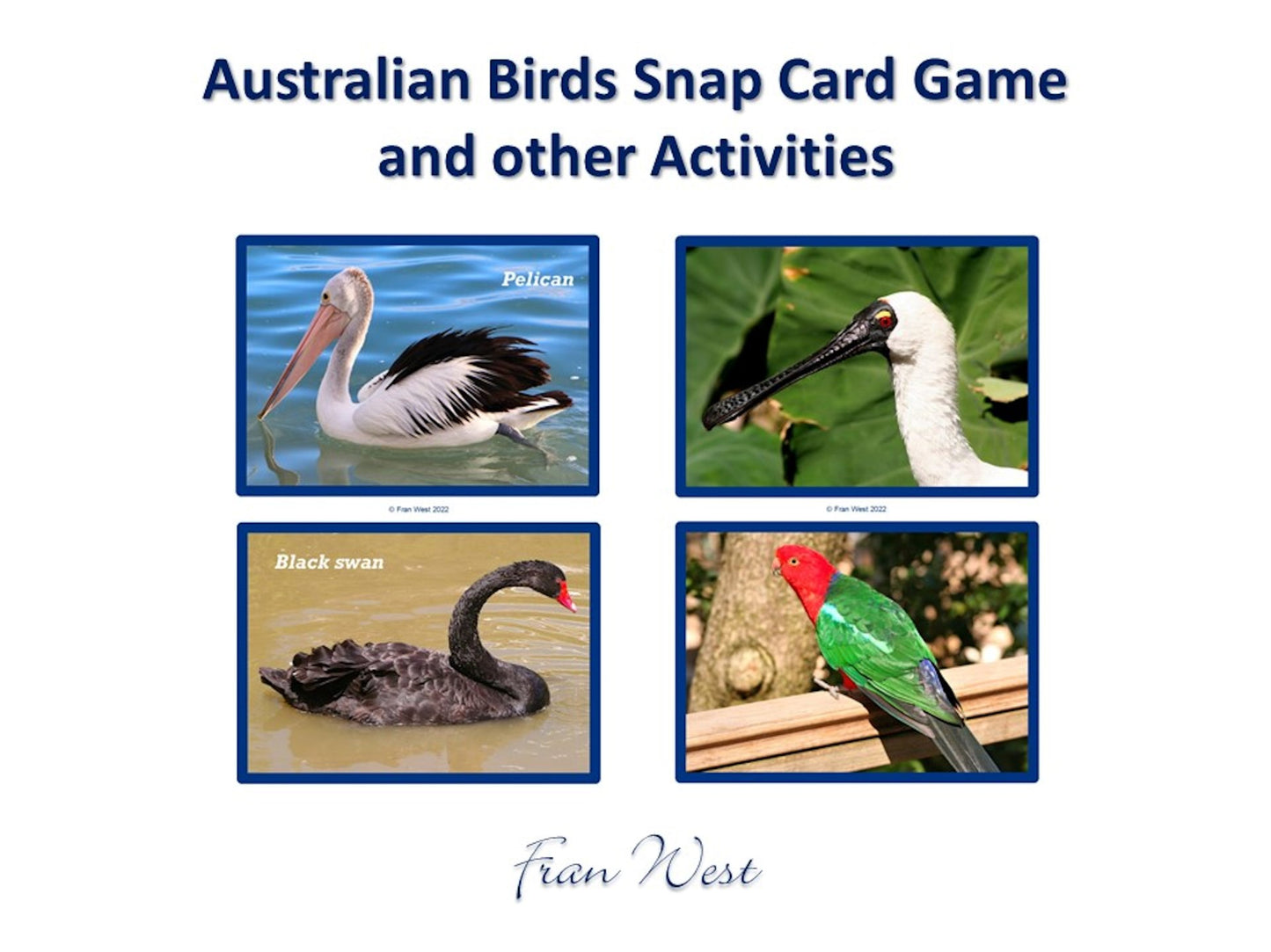 Australian Birds Snap Card Game PDF Download