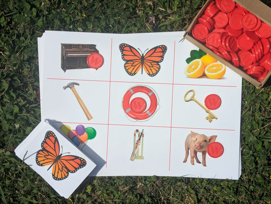 Picture Bingo