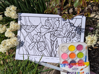 Watercolour Paint By Numbers Kit - A4