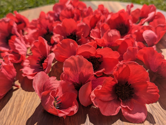 Poppies 30 pack