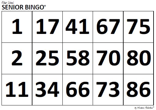 A4 30 Large Print Bingo Player Cards: 1  90
