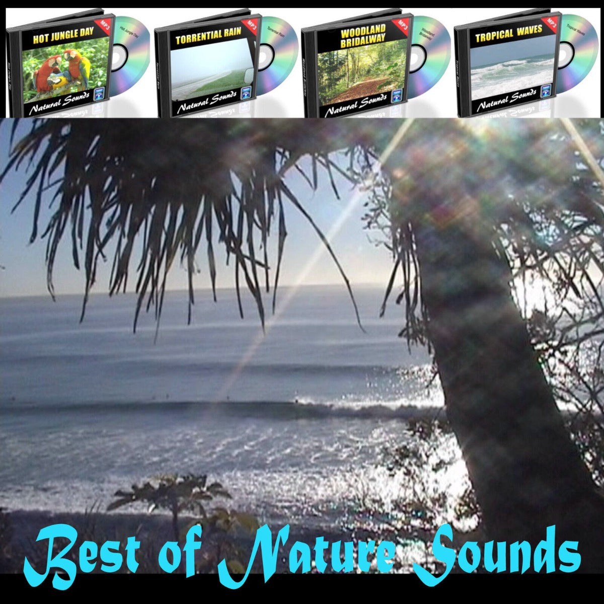 Nature Sounds CD