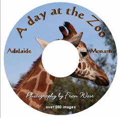 A Day at the Zoo (DVD)